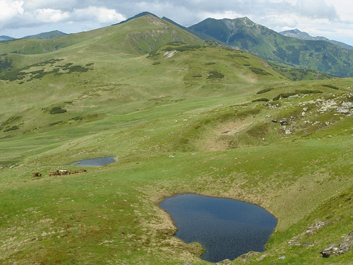 Foto vedere de pe Muntele Cailor (c) Petru Goja